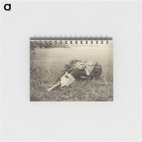 2-16_Alfred-Stieglitz_memo