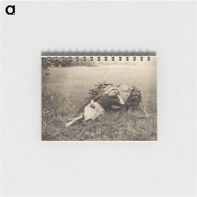 アートメモ帳-Weary - アルフレッド スティーグリッツ Memo.