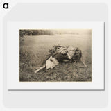 2-16_Alfred-Stieglitz_picture