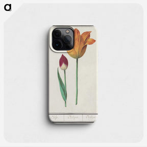 2-16_Anselmus-Boetius-de-Boodt_phone