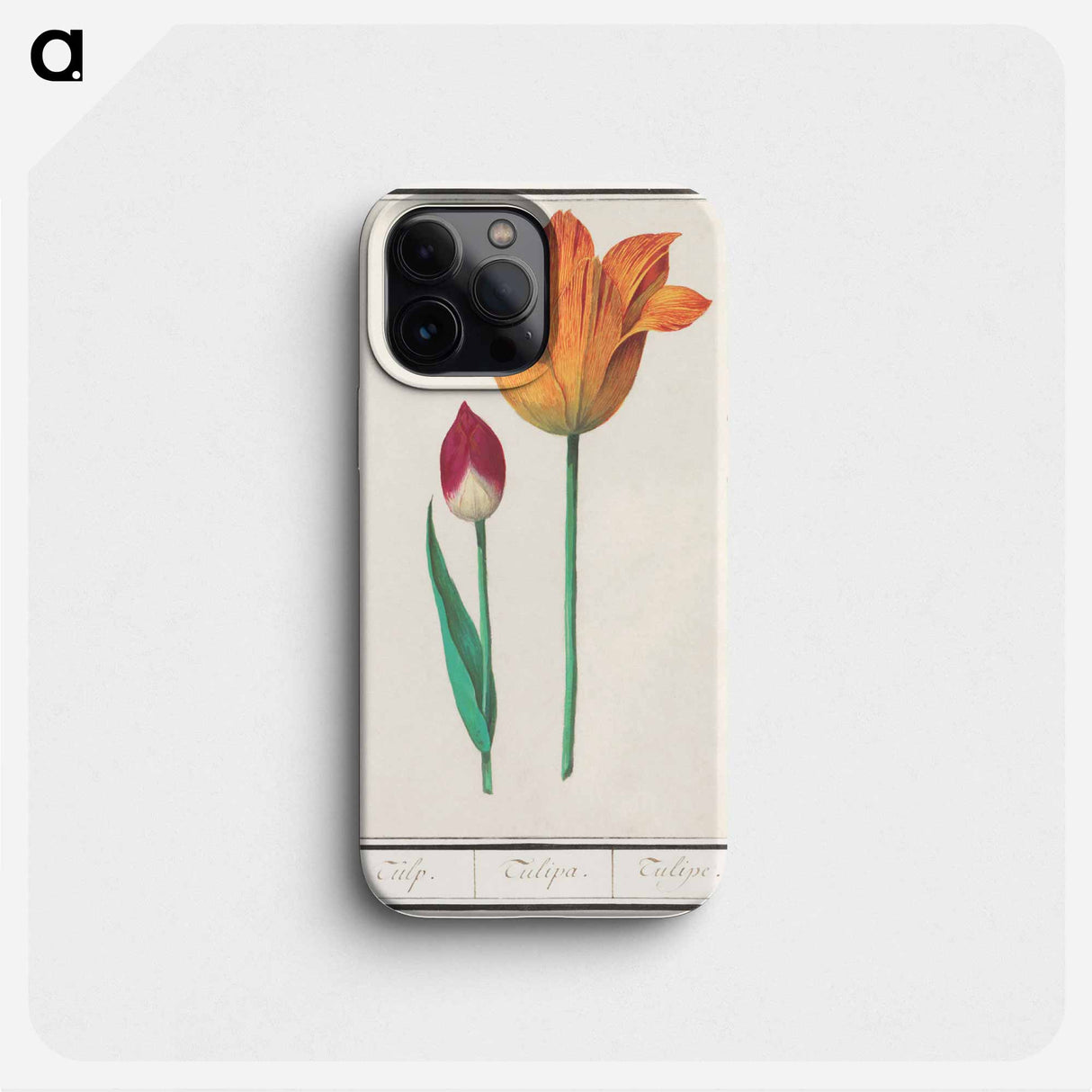 Tulip - アンセルムス ボエティウス デ ブート Phone Case.