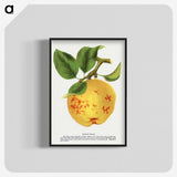 2-16_Botanical-Specimen-Plates_blk-crop