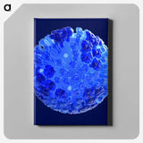 2-16_COVID-19_canvas