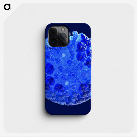 2-16_COVID-19_phone
