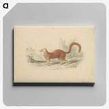 2-16_Charles-Hamilton-Smith_canvas