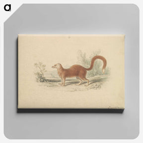 2-16_Charles-Hamilton-Smith_canvas