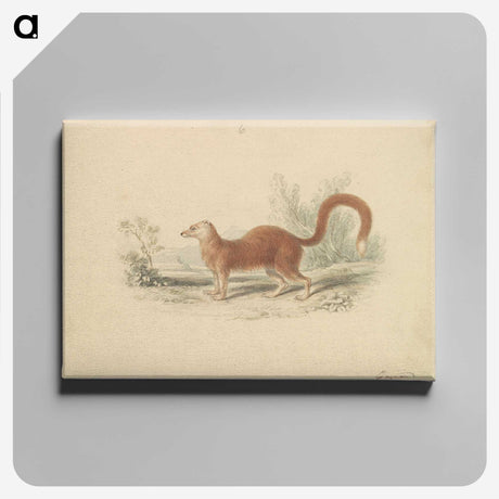 2-16_Charles-Hamilton-Smith_canvas