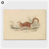 2-16_Charles-Hamilton-Smith_picture-crop