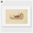 2-16_Charles-Hamilton-Smith_picture