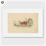 2-16_Charles-Hamilton-Smith_picture