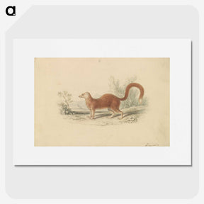 2-16_Charles-Hamilton-Smith_picture