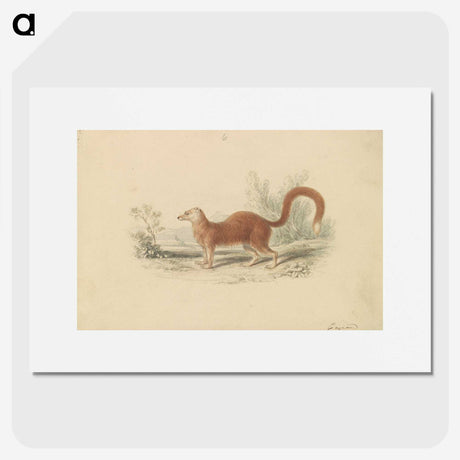 2-16_Charles-Hamilton-Smith_picture