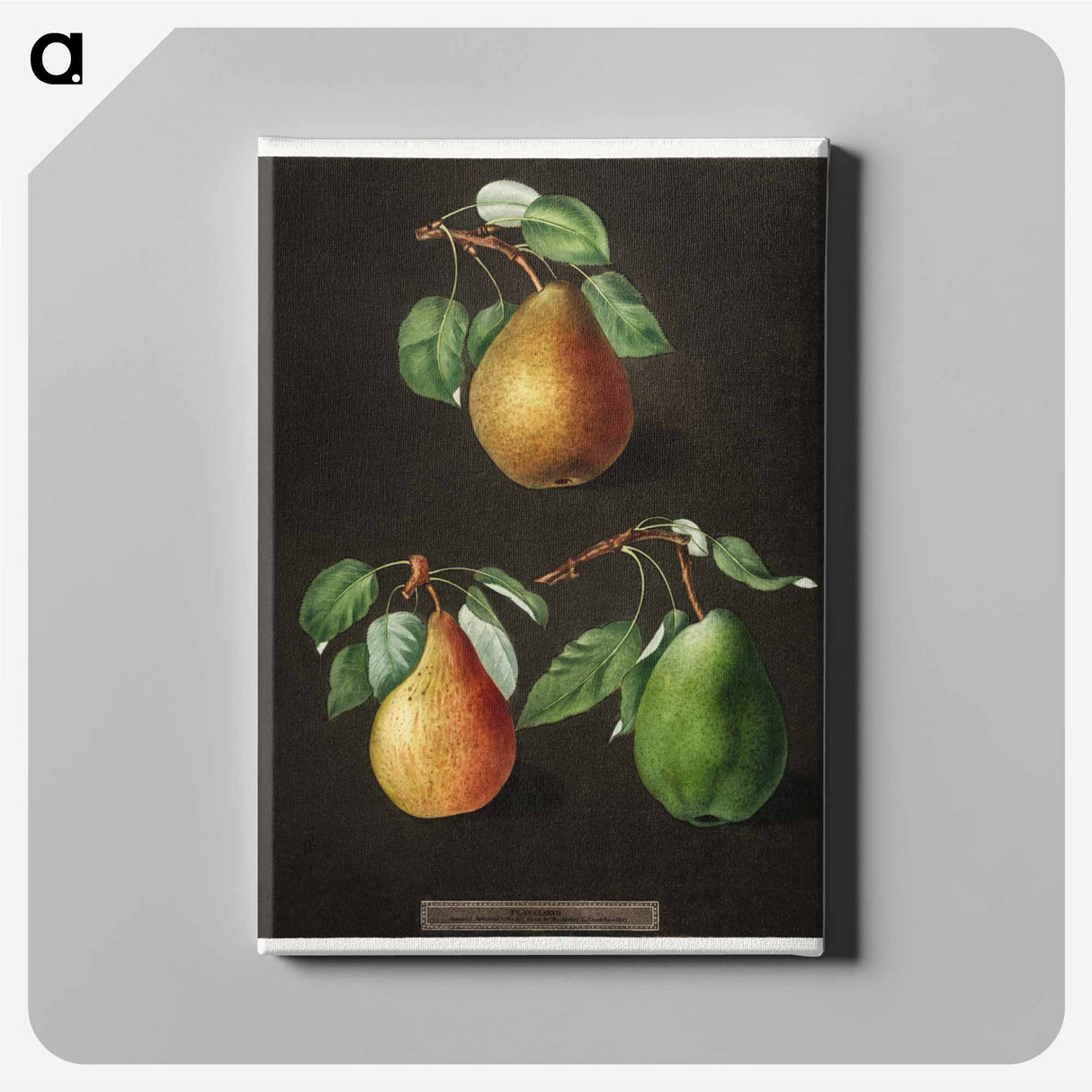 アートパネル-Pears
 - クリーブランド美術館 Canvas.
