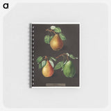 アートメモ帳-Pears
 - クリーブランド美術館 Memo.