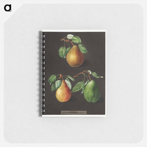 アートメモ帳-Pears
 - クリーブランド美術館 Memo.