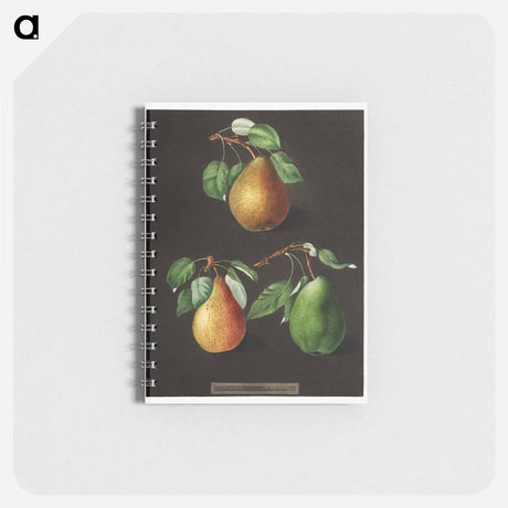 アートメモ帳-Pears
 - クリーブランド美術館 Memo.