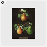 アートポストカード-Pears
 - クリーブランド美術館 Postcard.