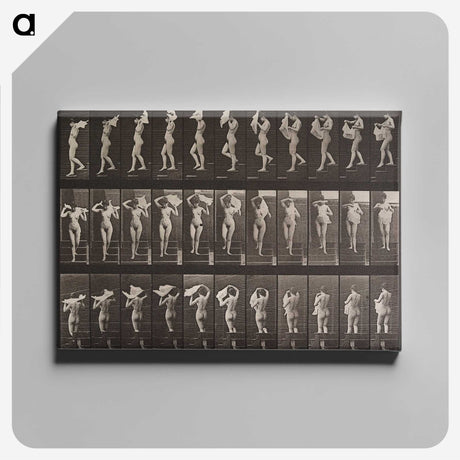 2-16_Eadweard-Muybridge_canvas