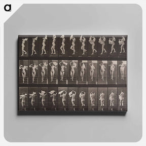 アートパネル-Animal Locomotion Plate 133
 - エドワード マイブリッジ Canvas.