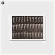 アートポストカード-Animal Locomotion Plate 133
 - エドワード マイブリッジ Postcard.