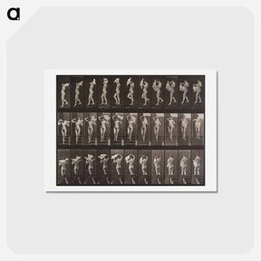 アートポストカード-Animal Locomotion Plate 133
 - エドワード マイブリッジ Postcard.