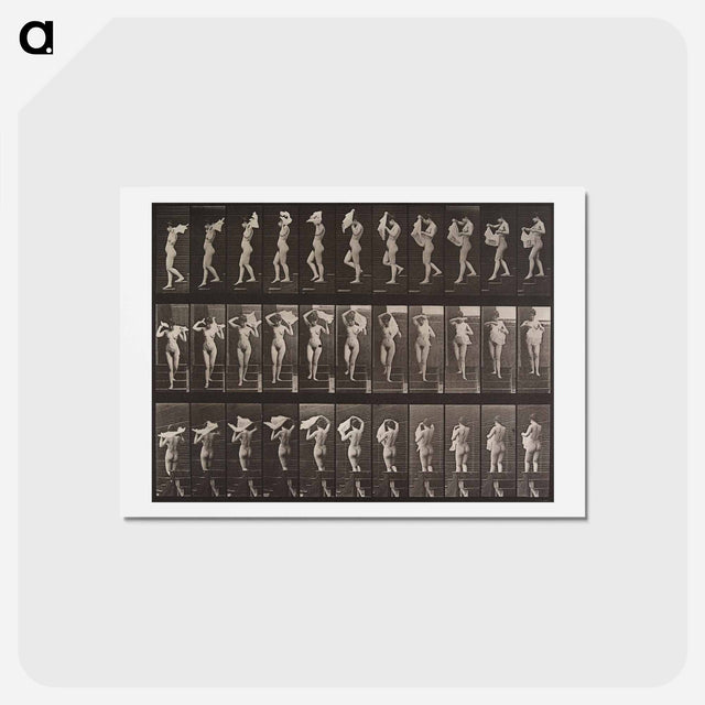 アートポストカード-Animal Locomotion Plate 133
 - エドワード マイブリッジ Postcard.