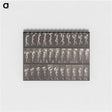 2-16_Eadweard-Muybridge_memo