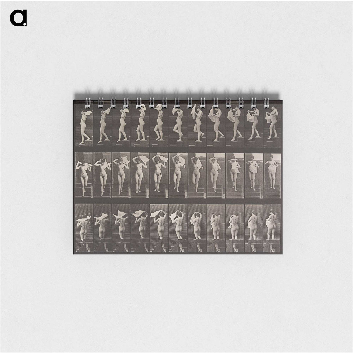 2-16_Eadweard-Muybridge_memo
