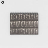 2-16_Eadweard-Muybridge_memo