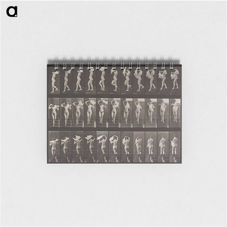 2-16_Eadweard-Muybridge_memo