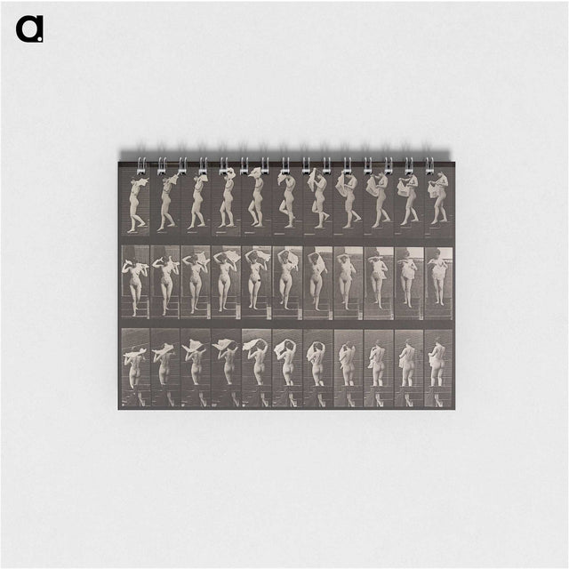 2-16_Eadweard-Muybridge_memo