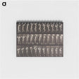 アートメモ帳-Animal Locomotion Plate 133
 - エドワード マイブリッジ Memo.