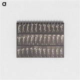 アートメモ帳-Animal Locomotion Plate 133
 - エドワード マイブリッジ Memo.
