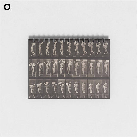 アートメモ帳-Animal Locomotion Plate 133
 - エドワード マイブリッジ Memo.