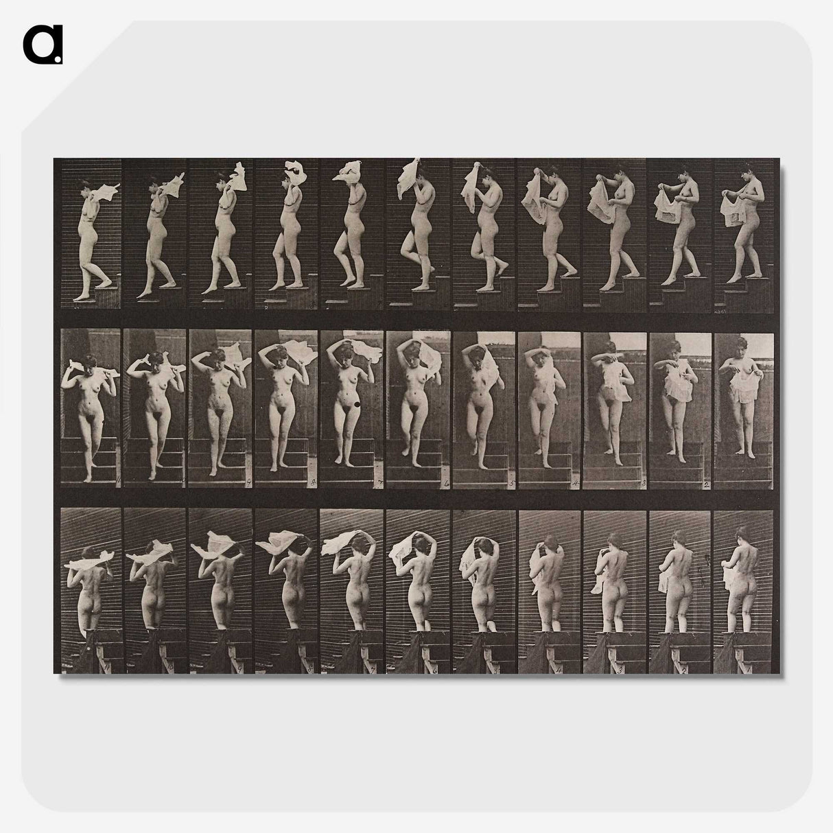 2-16_Eadweard-Muybridge_picture-crop