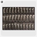 2-16_Eadweard-Muybridge_picture-crop