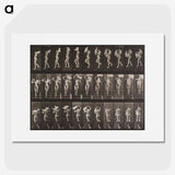 2-16_Eadweard-Muybridge_picture