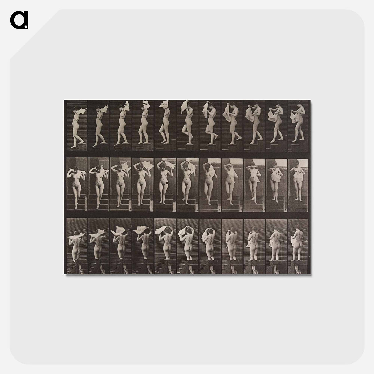 アートポストカード-Animal Locomotion Plate 133
 - エドワード マイブリッジ Postcard.