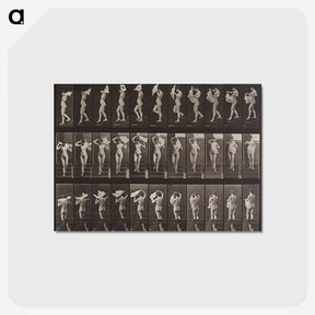 2-16_Eadweard-Muybridge_postcard