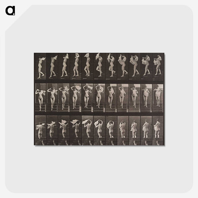2-16_Eadweard-Muybridge_postcard