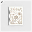 2-16_Ernst-Haeckel_memo