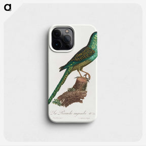 2-16_Francois-Levaillant_phone