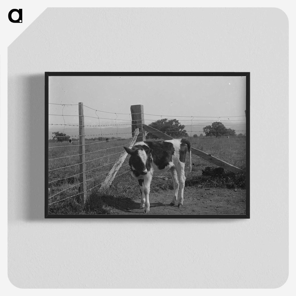 2-16_Frederick-Charles-Brockett_blk-crop