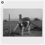 2-16_Frederick-Charles-Brockett_picture-crop