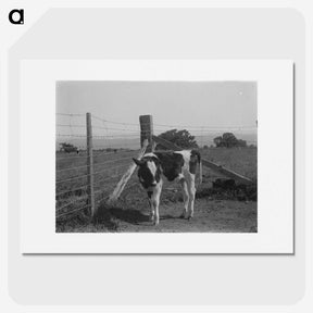 2-16_Frederick-Charles-Brockett_picture