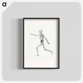 アートポスター-Human Skeleton, Lateral View
 - ジョージ スタッブス Poster.