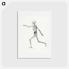 アートポストカード-Human Skeleton, Lateral View
 - ジョージ スタッブス Postcard.