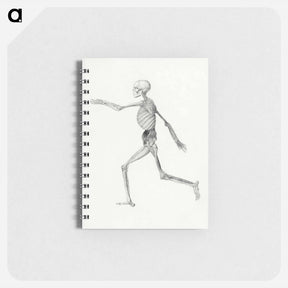 アートメモ帳-Human Skeleton, Lateral View
 - ジョージ スタッブス Memo.