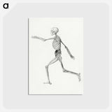 アートポストカード-Human Skeleton, Lateral View
 - ジョージ スタッブス Postcard.
