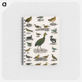 アートメモ帳-Birds from Animated Nature
 - ゴールドスミスの生き生きとした自然 Memo.